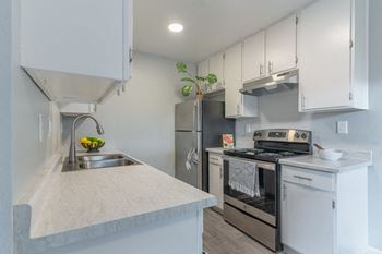 Amazing kitchens with modern appliances